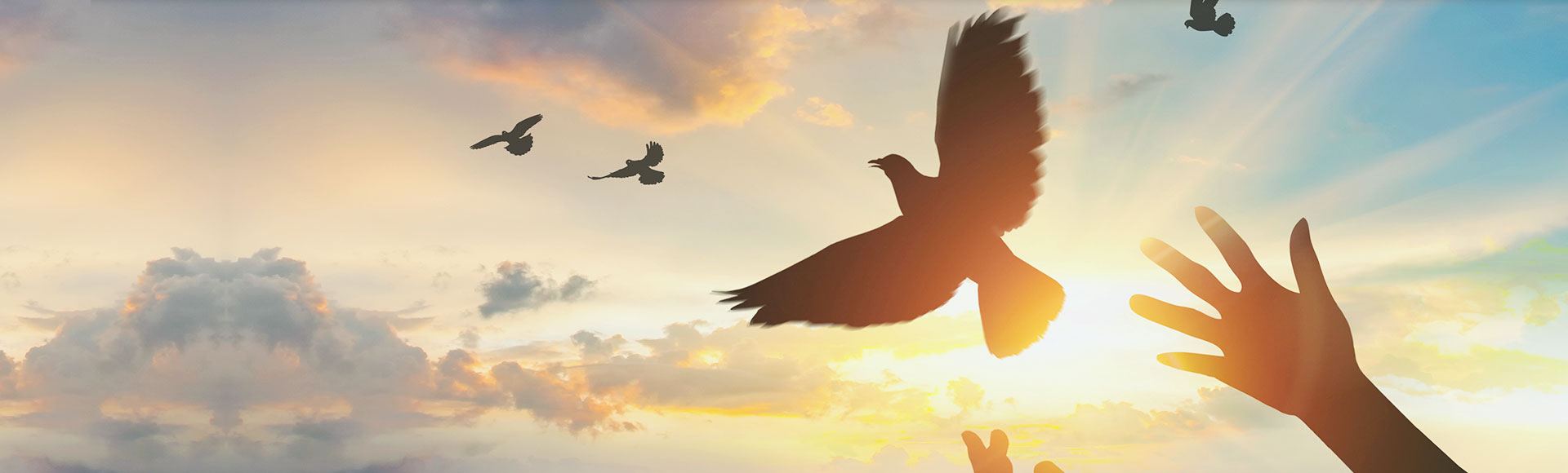 ����� | �ٷ���վ