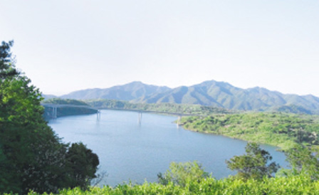 ����� | �ٷ���վ