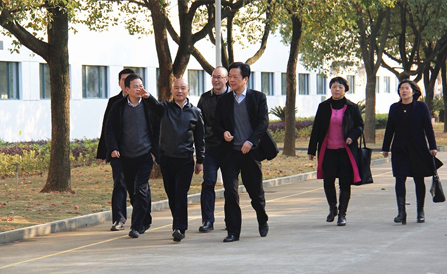 ����� | �ٷ���վ