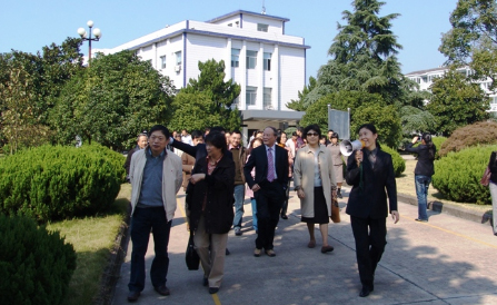 ����� | �ٷ���վ