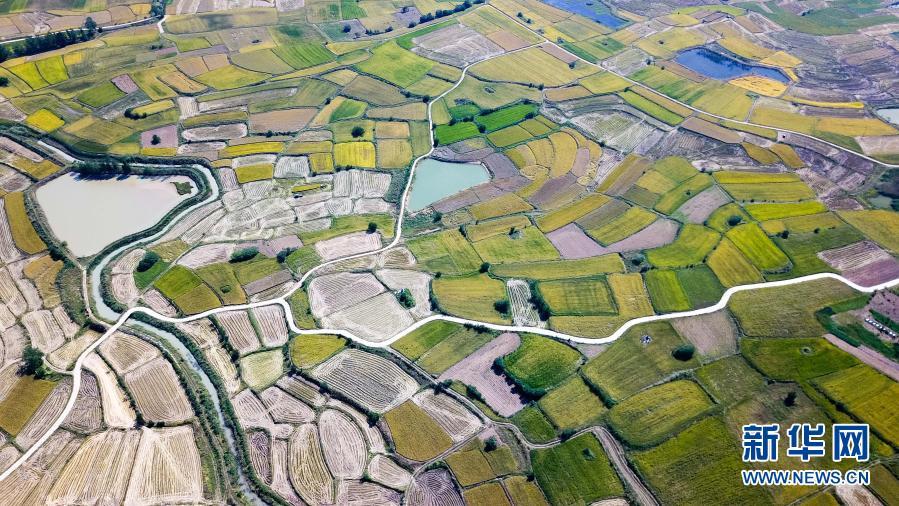 ½ñÄê»á | ¹Ù·½ÍøÕ¾